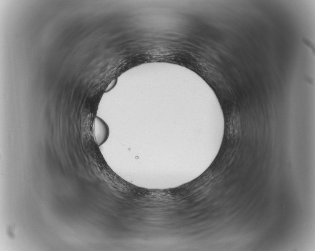 X0000099321346200805301207