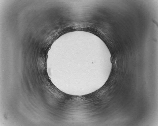 X0000099321348200805301207