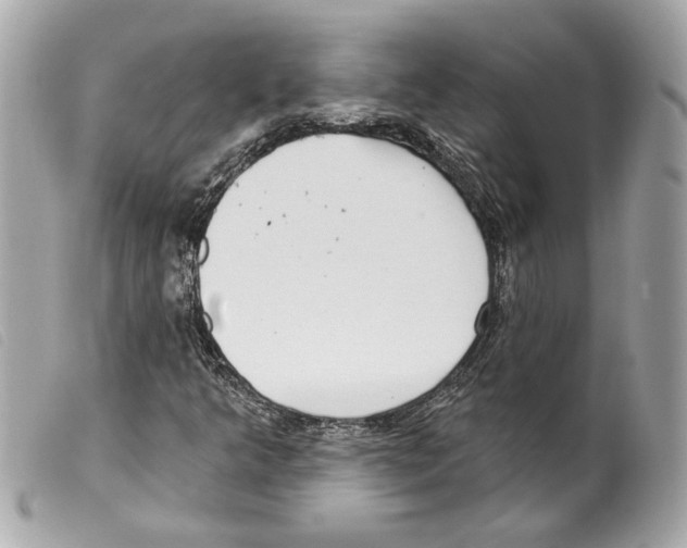 X0000099321349200805301207