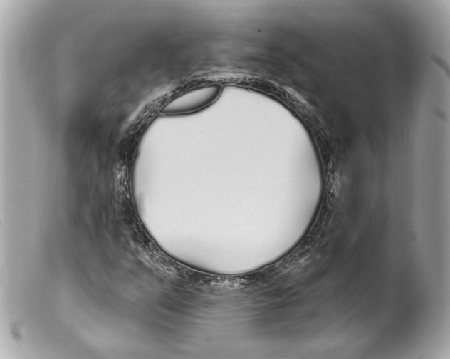 X0000099321351200805301207