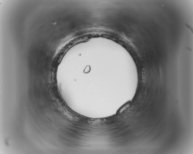 X0000099321352200805301207