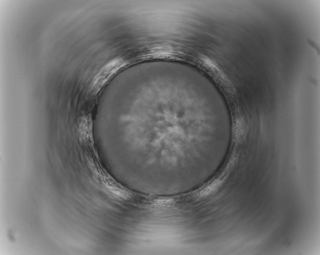 X0000099321353200805301206