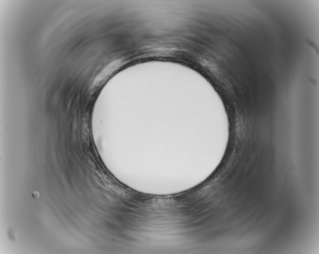 X0000099321354200805301206