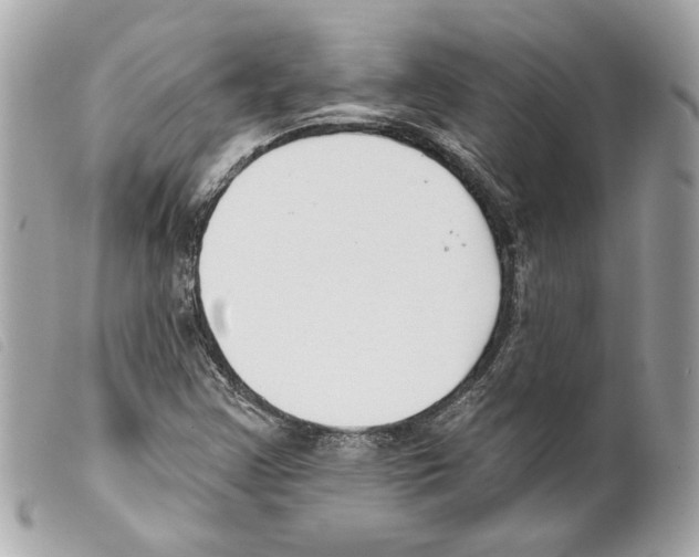 X0000099321355200805301206