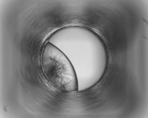 X0000099321356200805301206