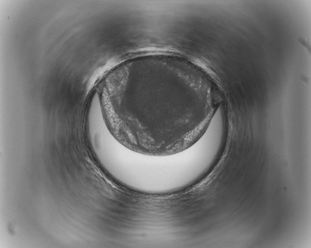 X0000099321357200805301206