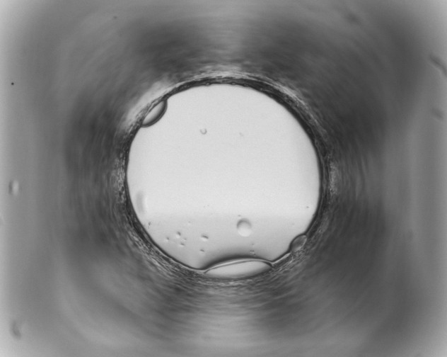 X0000099321359200805301206