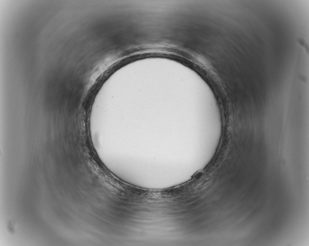 X0000099321360200805301206