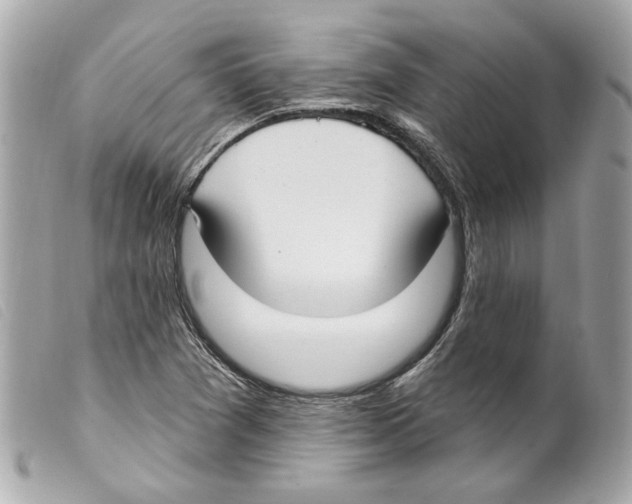 X0000099321361200805301206