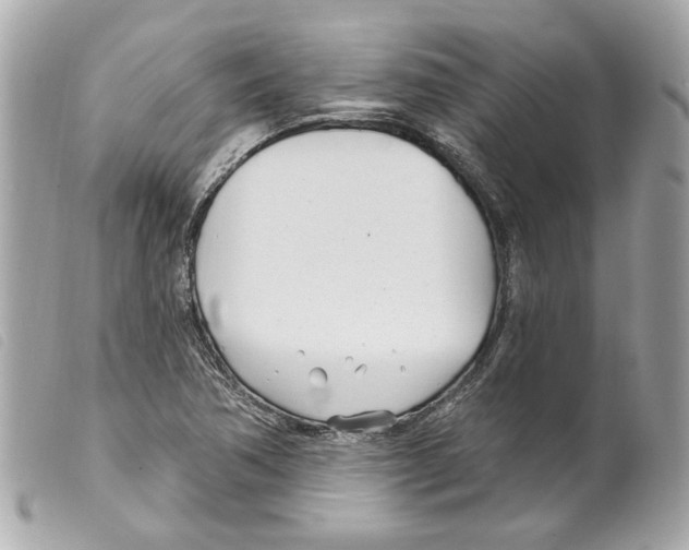 X0000099321362200805301206