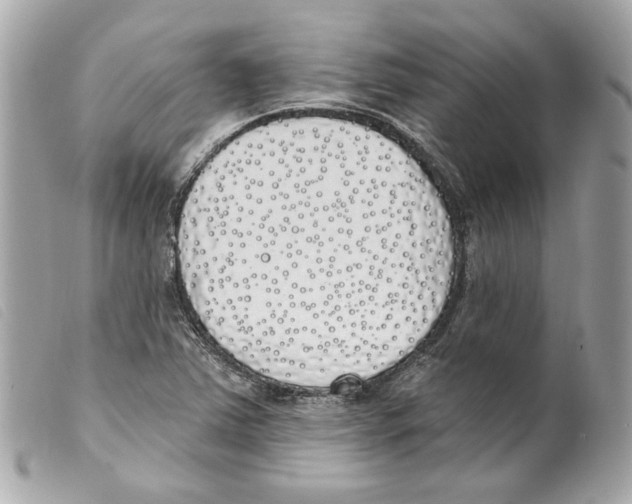 X0000099321363200805301206