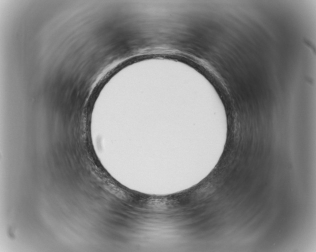 X0000099321364200805301206