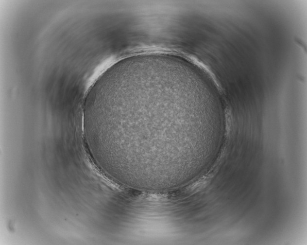 X0000099321365200805301206