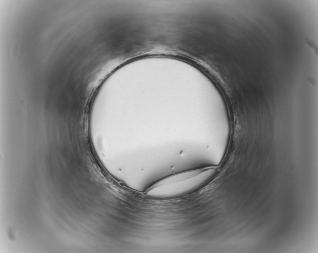 X0000099321367200805301206