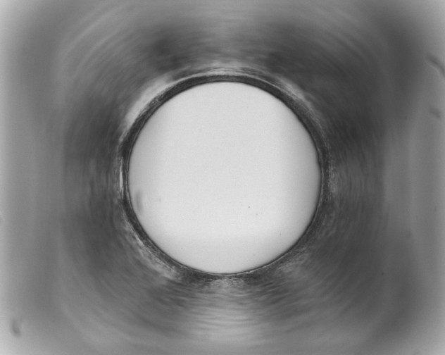 X0000099321368200805301206