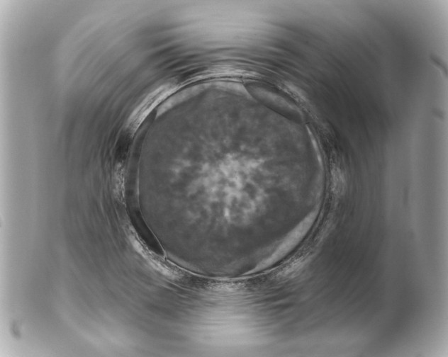 X0000099321369200805301206