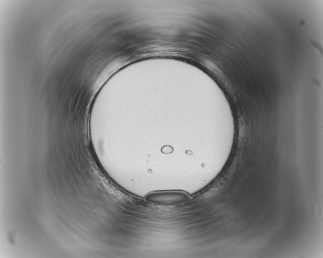 X0000099321370200805301206