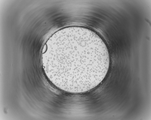 X0000099321371200805301206