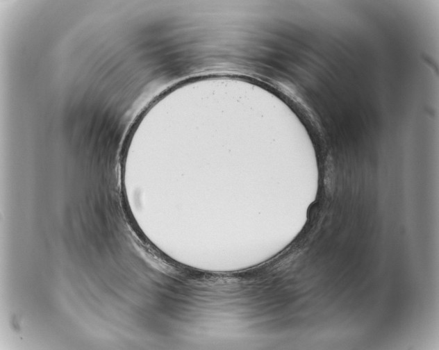 X0000099321372200805301206