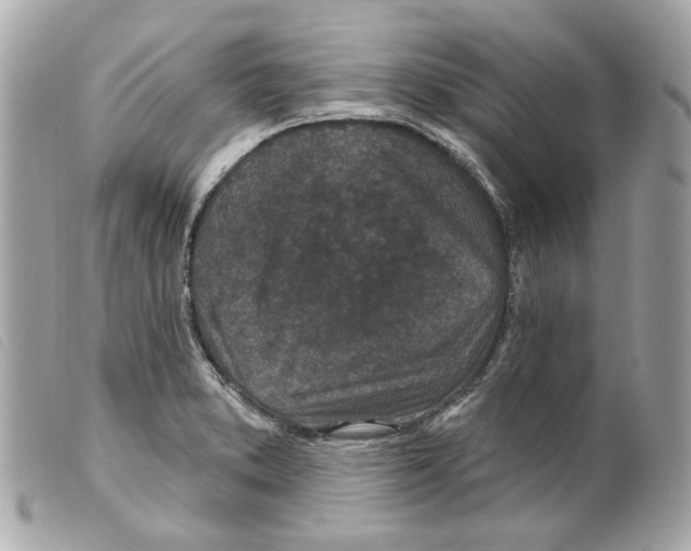 X0000099321373200805301206