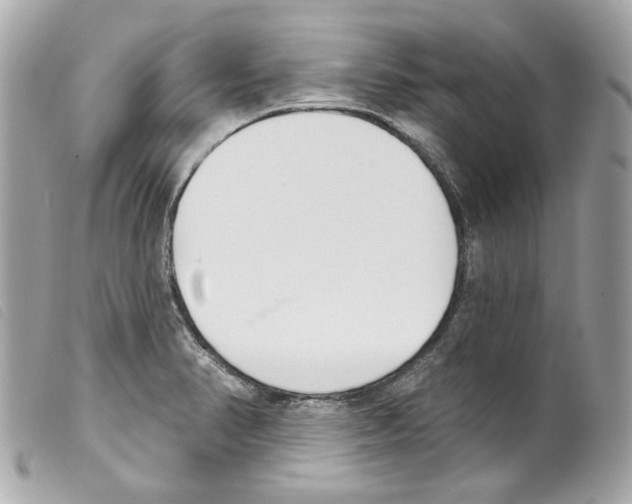 X0000099321374200805301206