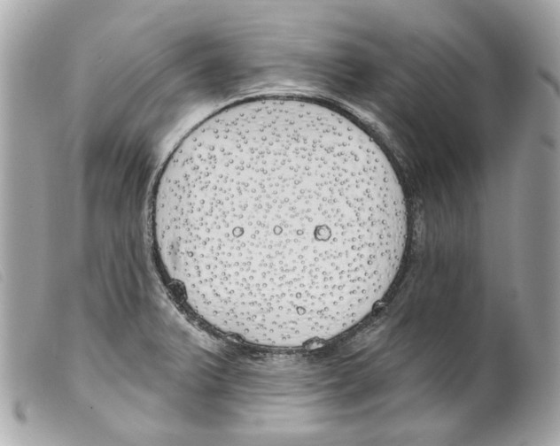 X0000099321375200805301206