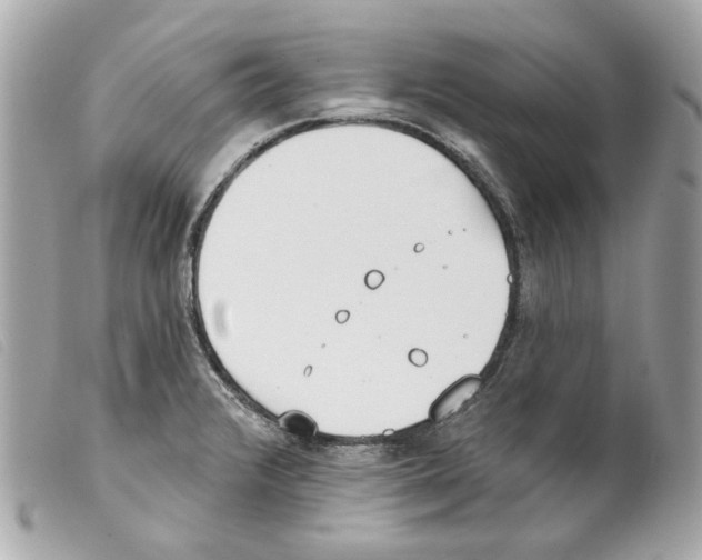 X0000099321376200805301206