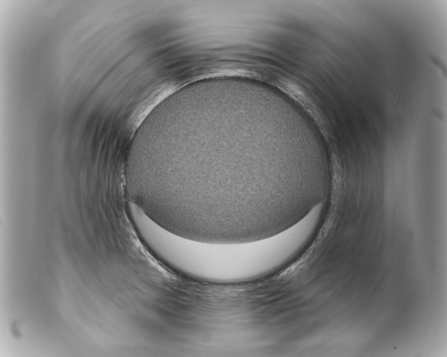 X0000099321377200805301206