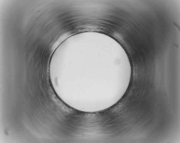 X0000099321378200805301206