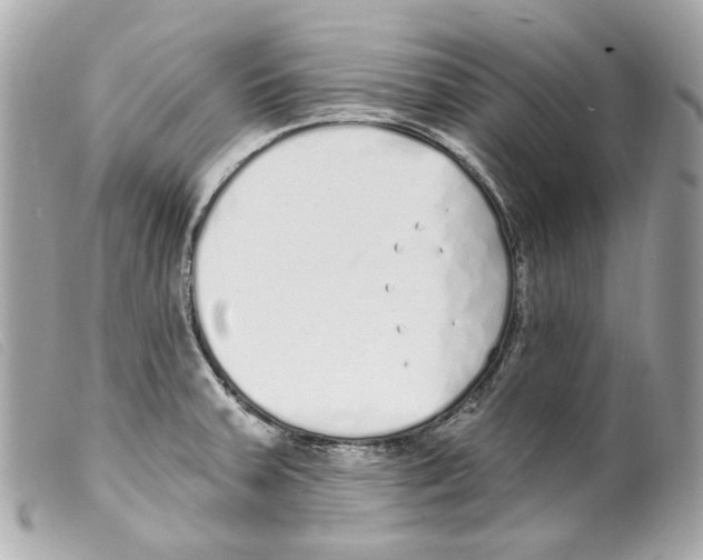 X0000099321379200805301206