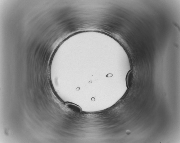 X0000099321380200805301206