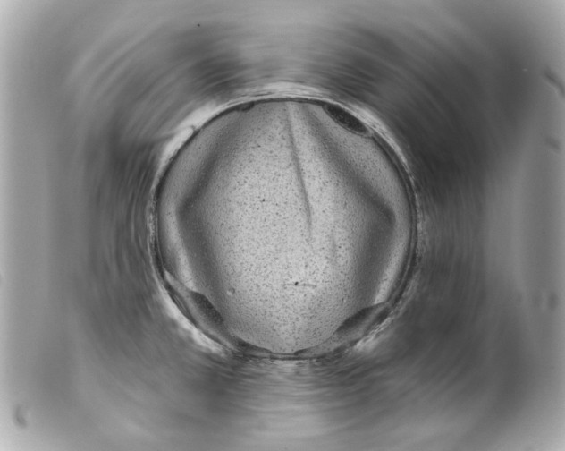 X0000099321381200805301206