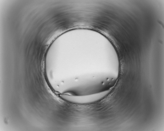 X0000099321383200805301206