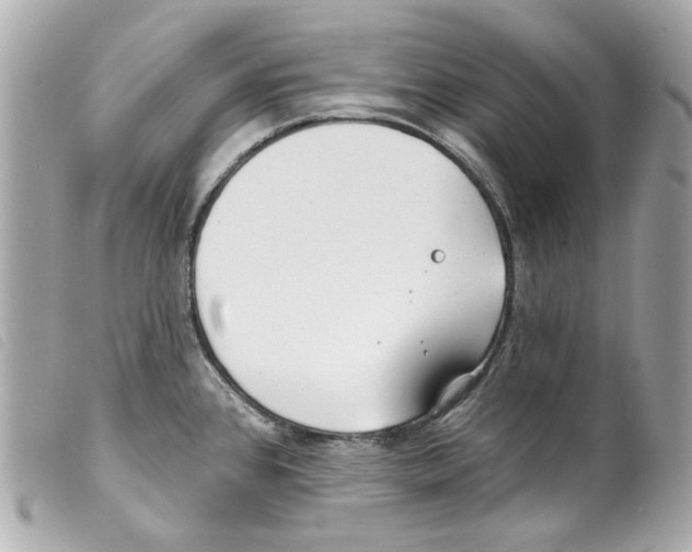 X0000099321384200805301206