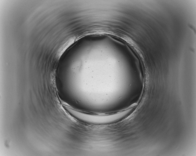 X0000099321385200805301206