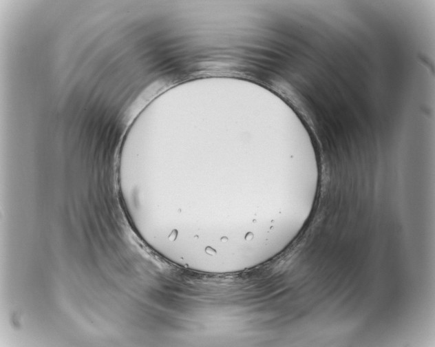 X0000099321386200805301206