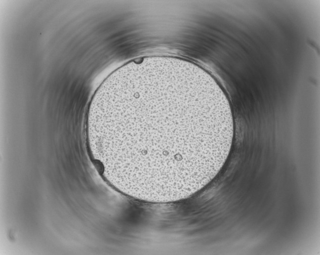 X0000099321387200805301206