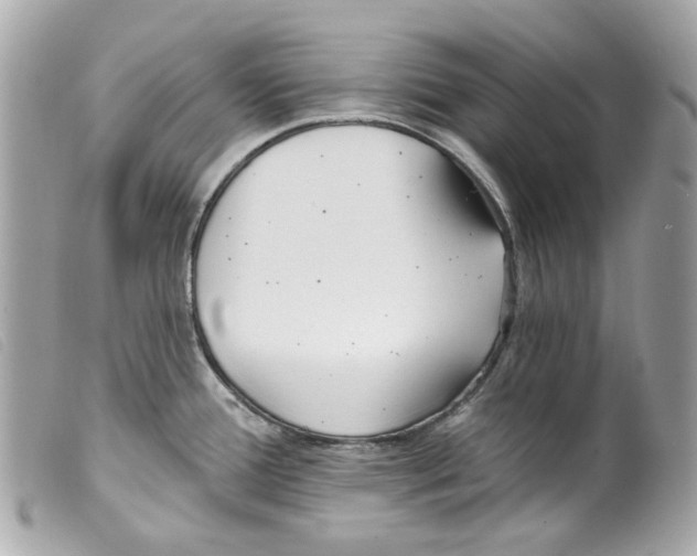 X0000099321388200805301206