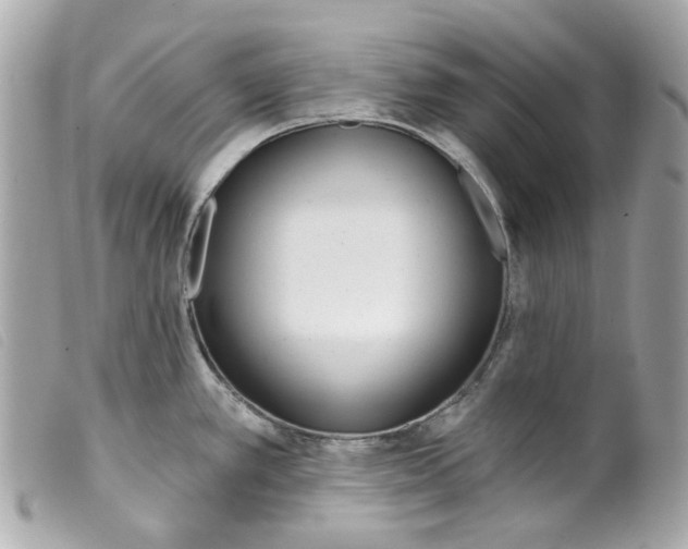 X0000099321389200805301206