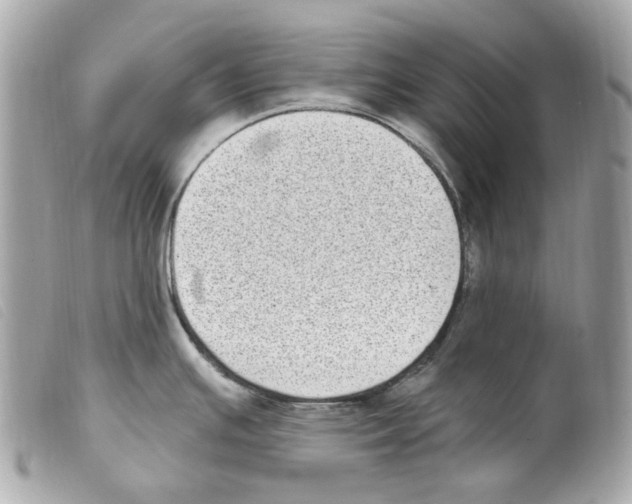 X0000099321391200805301206