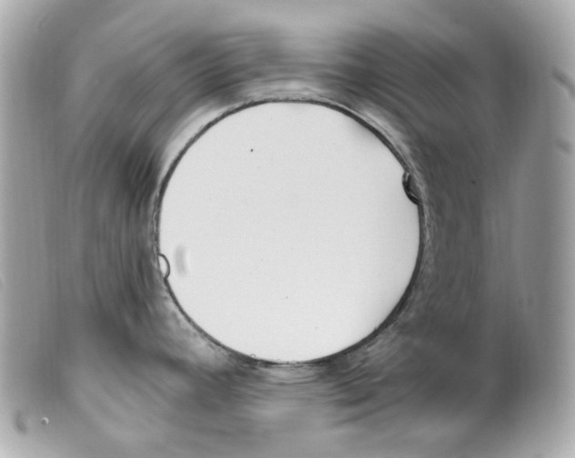 X0000099321392200805301206