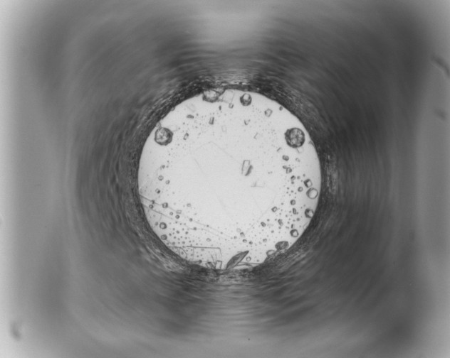 X0000099321393200805301205