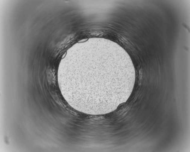 X0000099321394200805301205