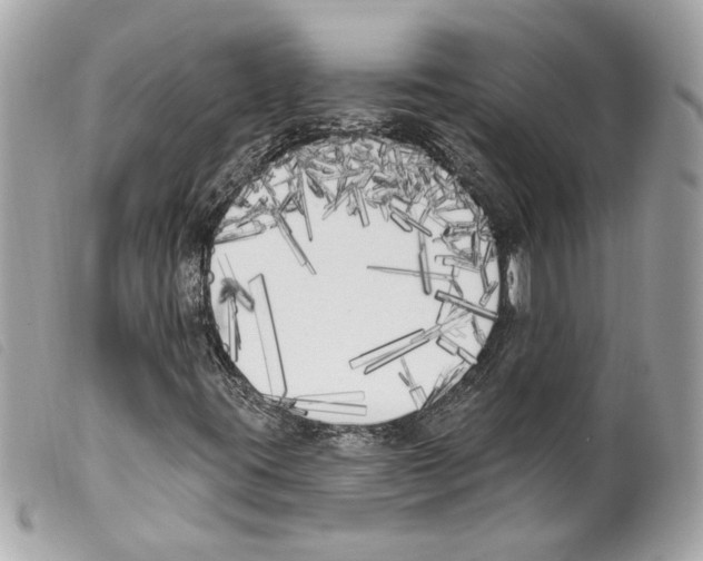 X0000099321395200805301205