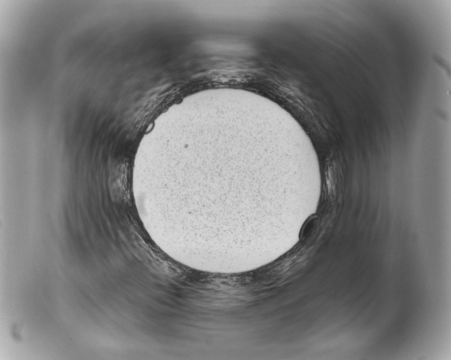 X0000099321396200805301205