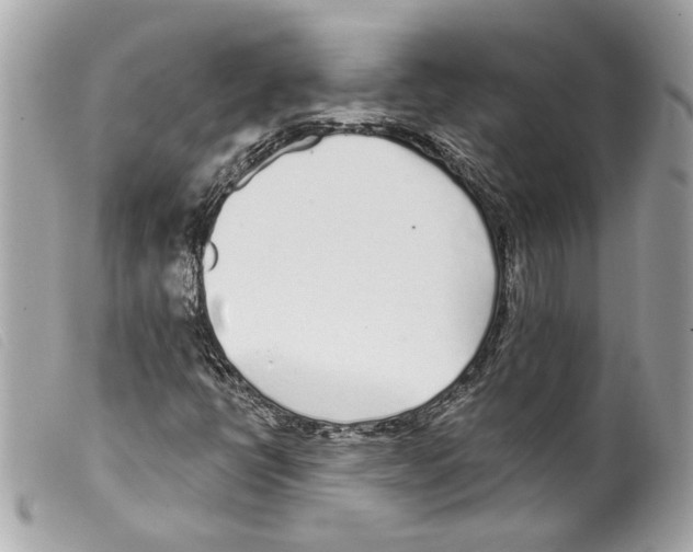 X0000099321398200805301205