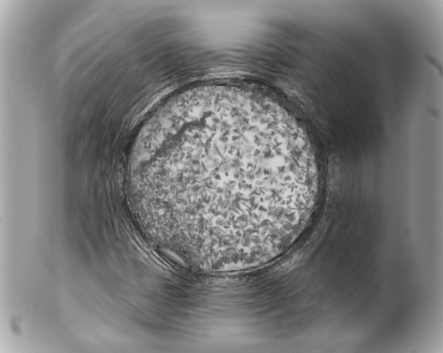 X0000099321401200805301205