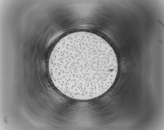 X0000099321402200805301205