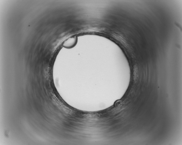 X0000099321404200805301206