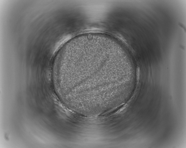 X0000099321405200805301206